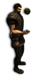 Sam